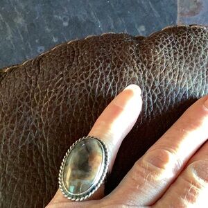 Ring Sterling silver Petrified Wood Native American made.  sz 4 3/4